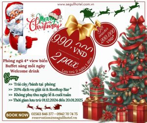 Merry Christmas 2024