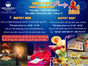 Chuong trinh ngam phao hoa o Quy Nhon